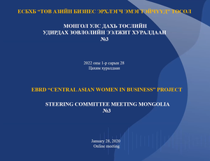 “Төв азийн бизнес эрхлэгч эмэгтэйчүүд” төслийн удирдах зөвлөлийн ээлжит хуралдаан боллоо (2022 оны 1-р сарын 28)